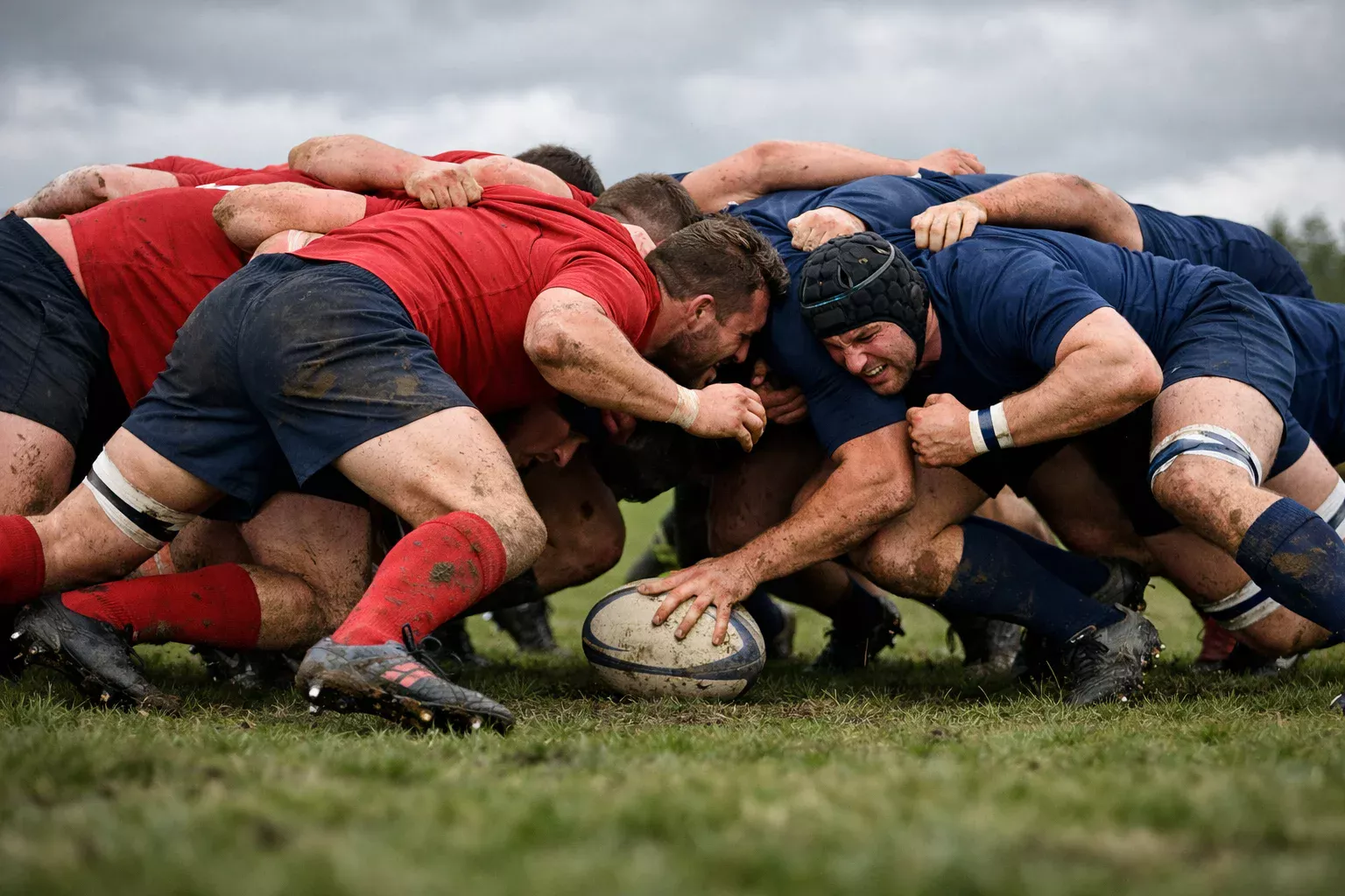 Joueurs de rugby en mêlée sur un terrain herbeux lors d'un match de Top 14